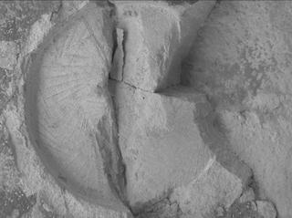 View image taken on Mars, Mars Perseverance Sol 1436: WATSON Camera 