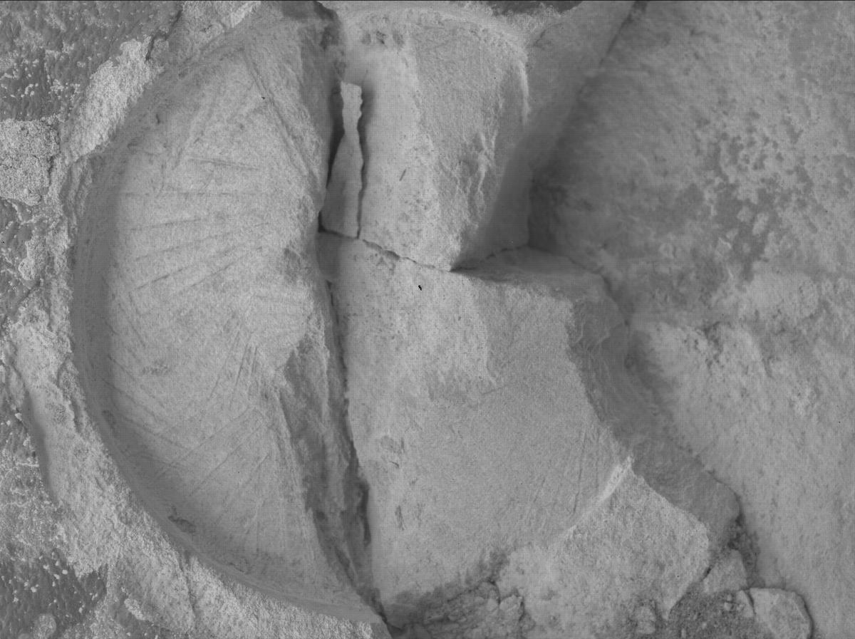 This image was taken by SHERLOC_WATSON onboard NASA's Mars rover Perseverance on Sol 1436