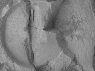 View image taken on Mars, Mars Perseverance Sol 1436: WATSON Camera 