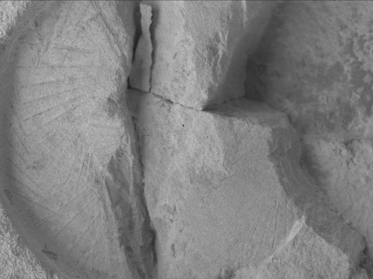 This image was taken by SHERLOC_WATSON onboard NASA's Mars rover Perseverance on Sol 1436