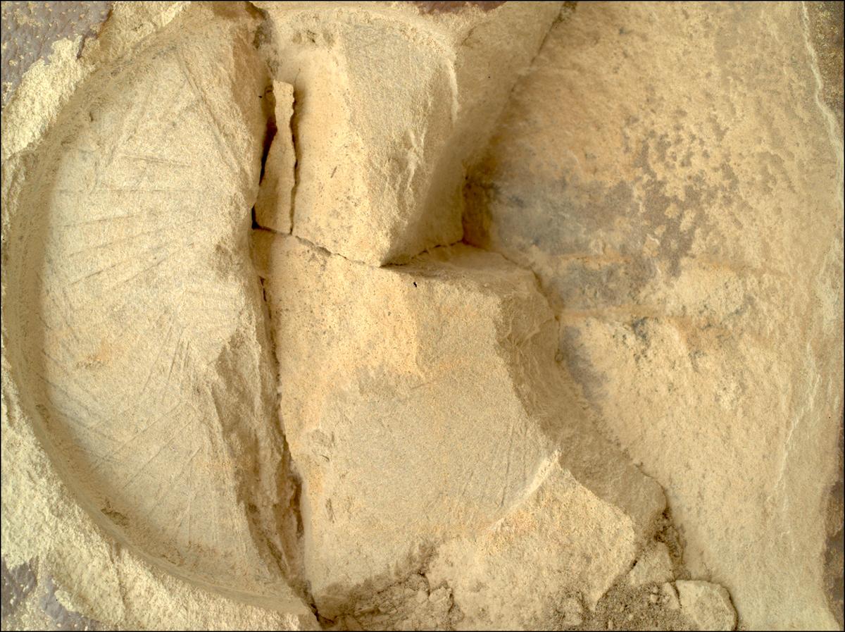 This image was taken by SHERLOC_WATSON onboard NASA's Mars rover Perseverance on Sol 1436