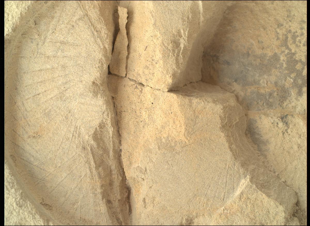 This image was taken by SHERLOC_WATSON onboard NASA's Mars rover Perseverance on Sol 1436