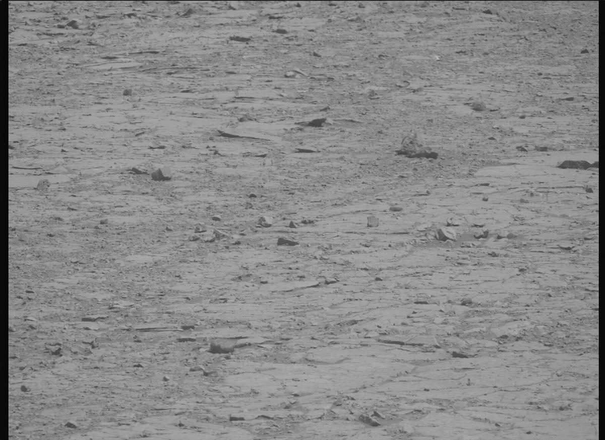 This image was taken by MCZ_LEFT onboard NASA's Mars rover Perseverance on Sol 1436