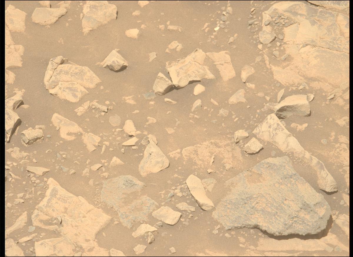 This image was taken by MCZ_LEFT onboard NASA's Mars rover Perseverance on Sol 1436
