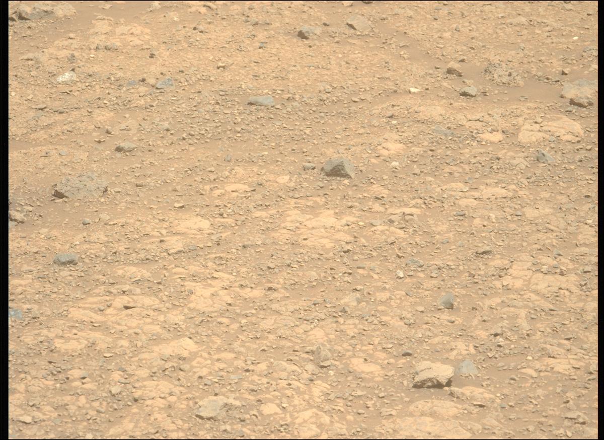 This image was taken by MCZ_LEFT onboard NASA's Mars rover Perseverance on Sol 1436