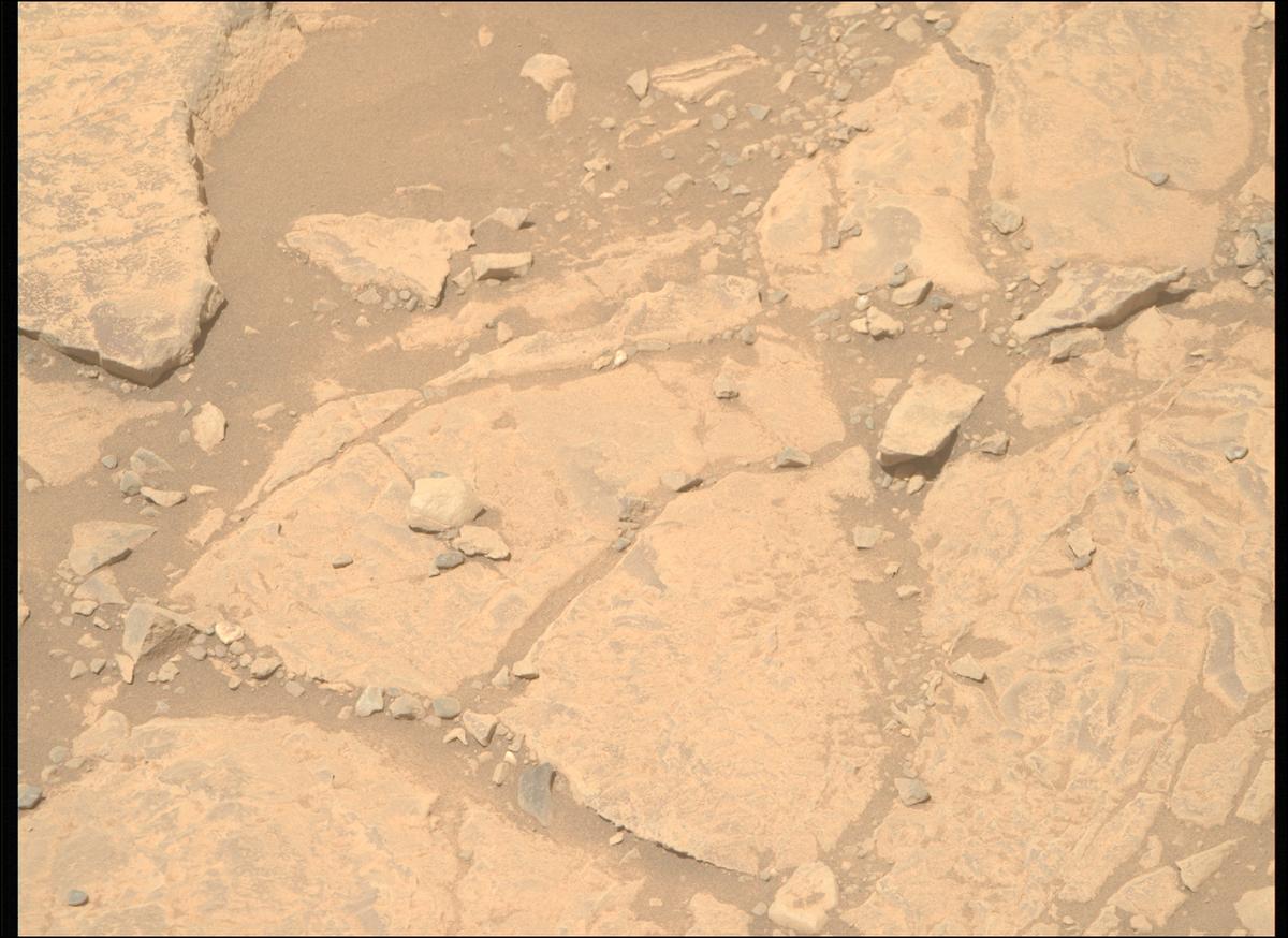 This image was taken by MCZ_RIGHT onboard NASA's Mars rover Perseverance on Sol 1436