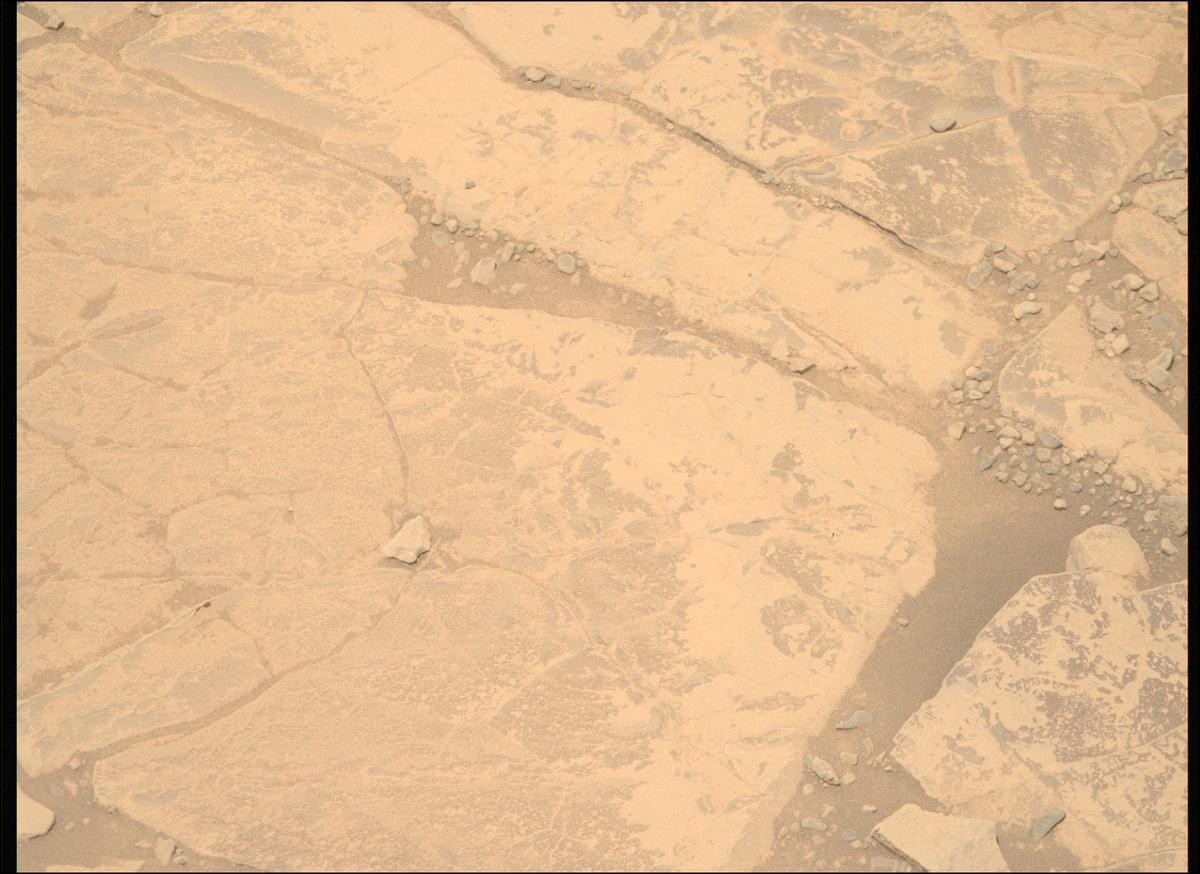 This image was taken by MCZ_RIGHT onboard NASA's Mars rover Perseverance on Sol 1436