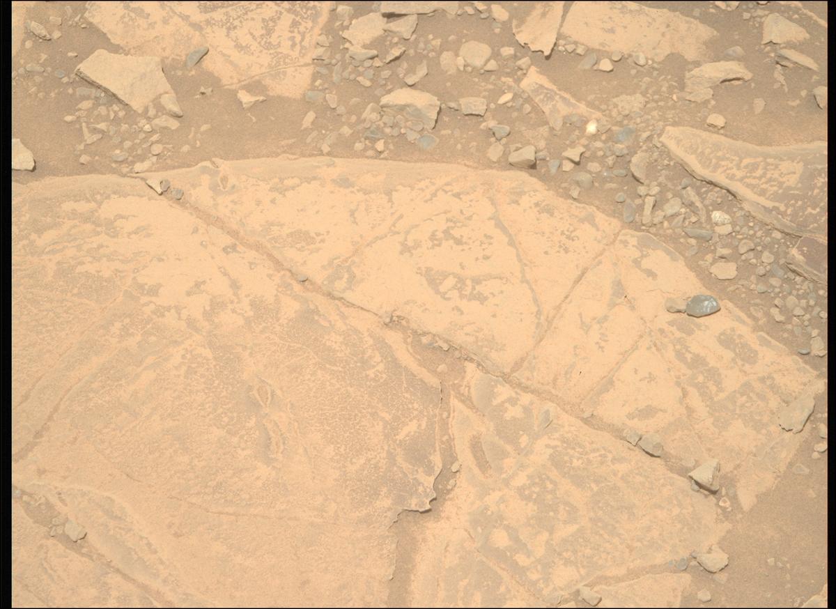 This image was taken by MCZ_RIGHT onboard NASA's Mars rover Perseverance on Sol 1436