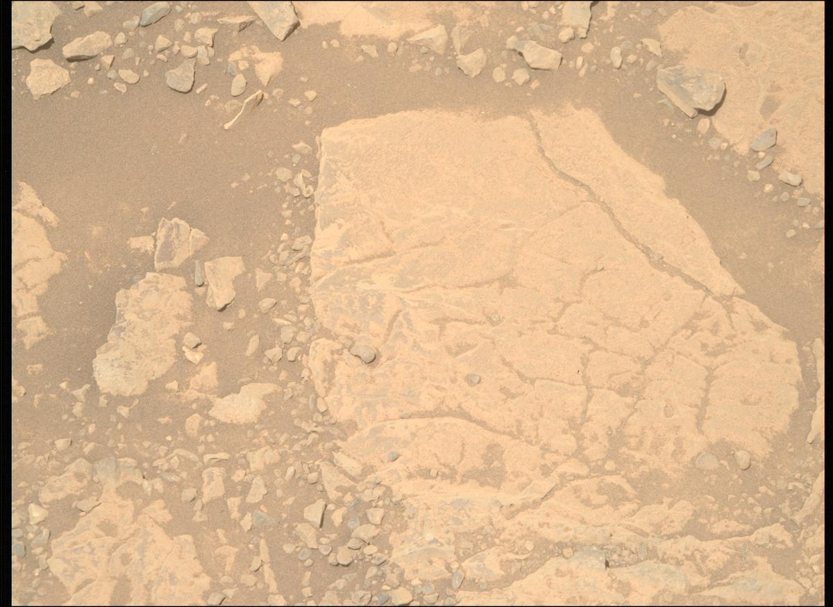 This image was taken by MCZ_RIGHT onboard NASA's Mars rover Perseverance on Sol 1436