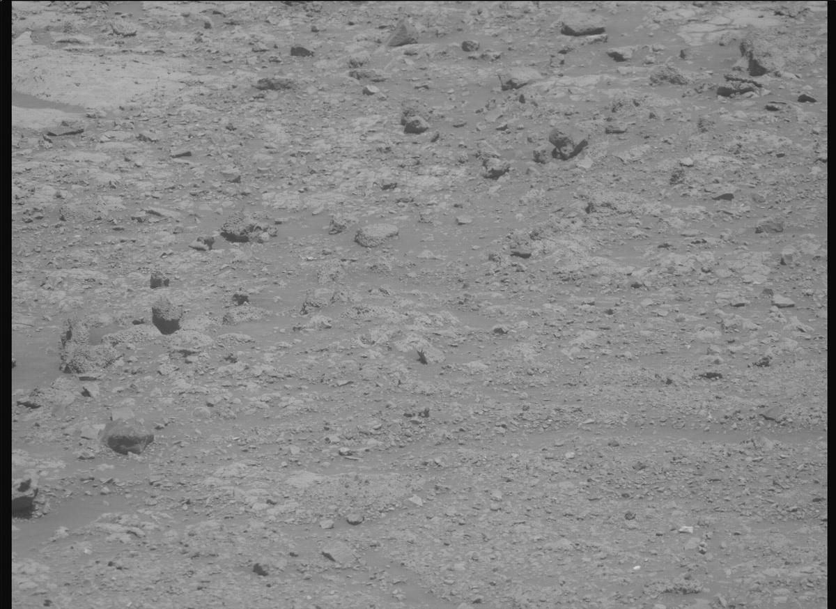This image was taken by MCZ_RIGHT onboard NASA's Mars rover Perseverance on Sol 1436