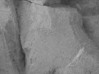 View image taken on Mars, Mars Perseverance Sol 1437: WATSON Camera 