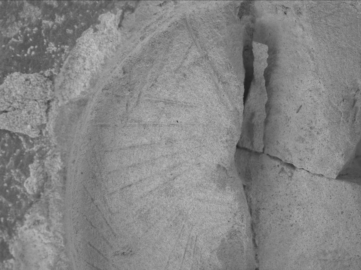 This image was taken by SHERLOC_WATSON onboard NASA's Mars rover Perseverance on Sol 1437