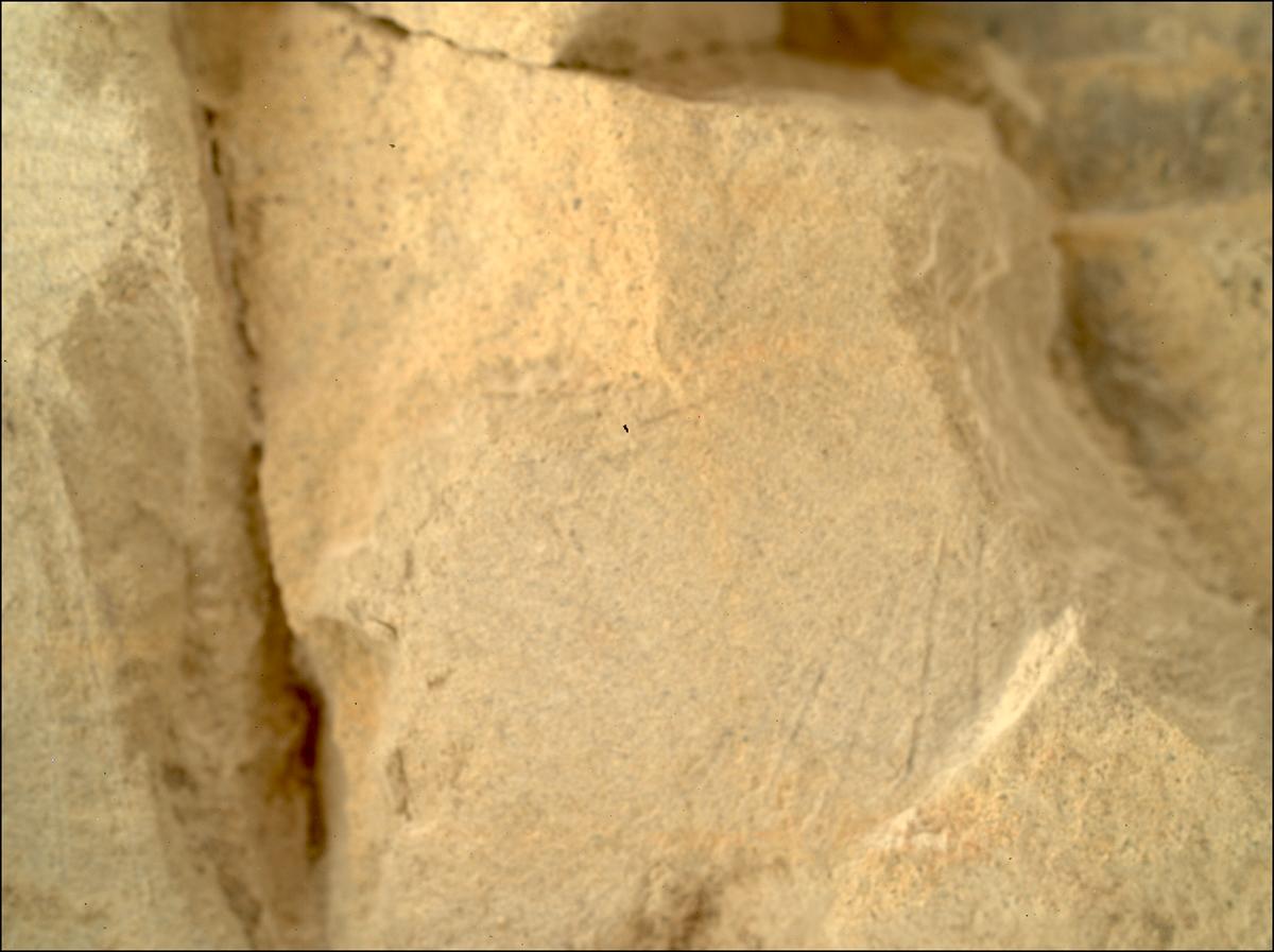 This image was taken by SHERLOC_WATSON onboard NASA's Mars rover Perseverance on Sol 1437