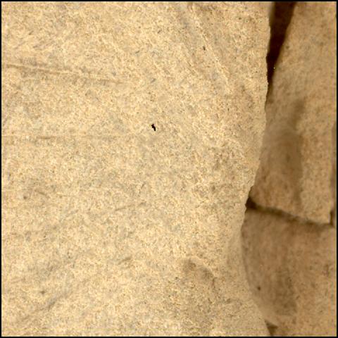 This image was taken by SHERLOC_WATSON onboard NASA's Mars rover Perseverance on Sol 1437