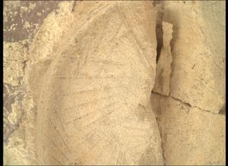 View image taken on Mars, Mars Perseverance Sol 1437: WATSON Camera 