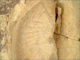 View image taken on Mars, Mars Perseverance Sol 1437: WATSON Camera 