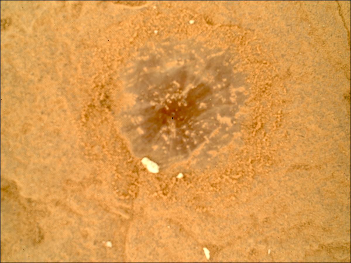 This image was taken by SHERLOC_WATSON onboard NASA's Mars rover Perseverance on Sol 1437