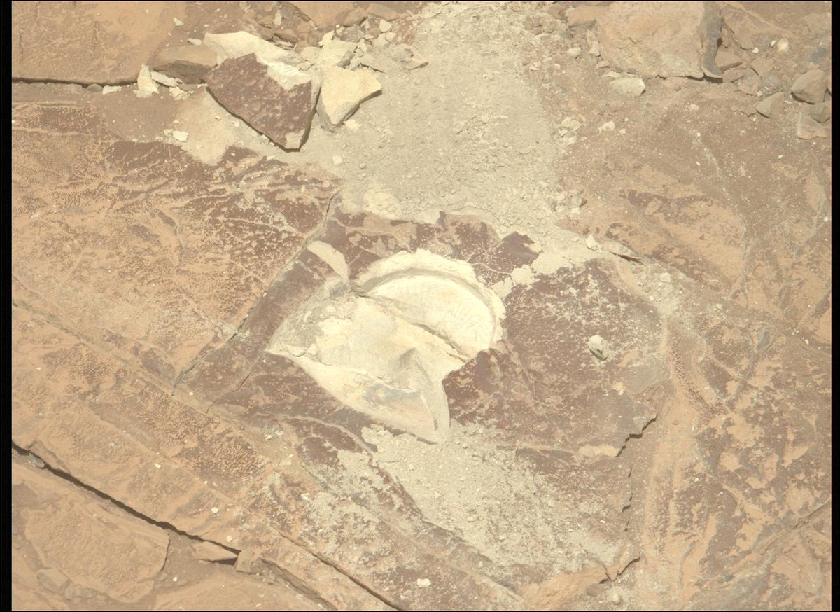 This image was taken by MCZ_LEFT onboard NASA's Mars rover Perseverance on Sol 1437