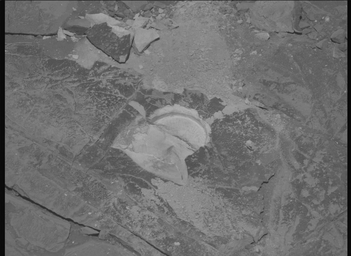 This image was taken by MCZ_LEFT onboard NASA's Mars rover Perseverance on Sol 1437