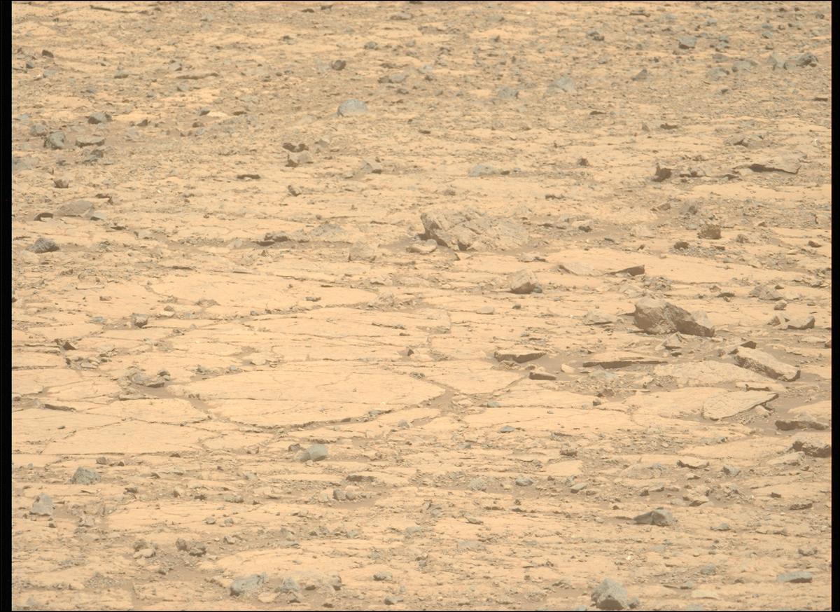 This image was taken by MCZ_LEFT onboard NASA's Mars rover Perseverance on Sol 1437
