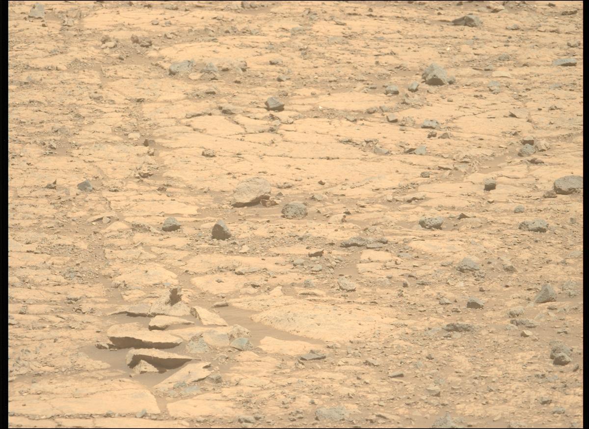 This image was taken by MCZ_LEFT onboard NASA's Mars rover Perseverance on Sol 1437