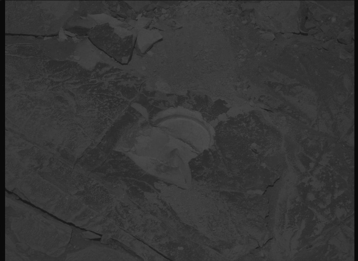 This image was taken by MCZ_LEFT onboard NASA's Mars rover Perseverance on Sol 1437