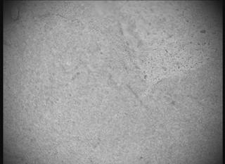 View image taken on Mars, Mars Perseverance Sol 1438: SHERLOC ACI Camera 