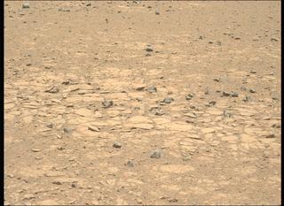 View image taken on Mars, Mars Perseverance Sol 1438: Left Mastcam-Z Camera
