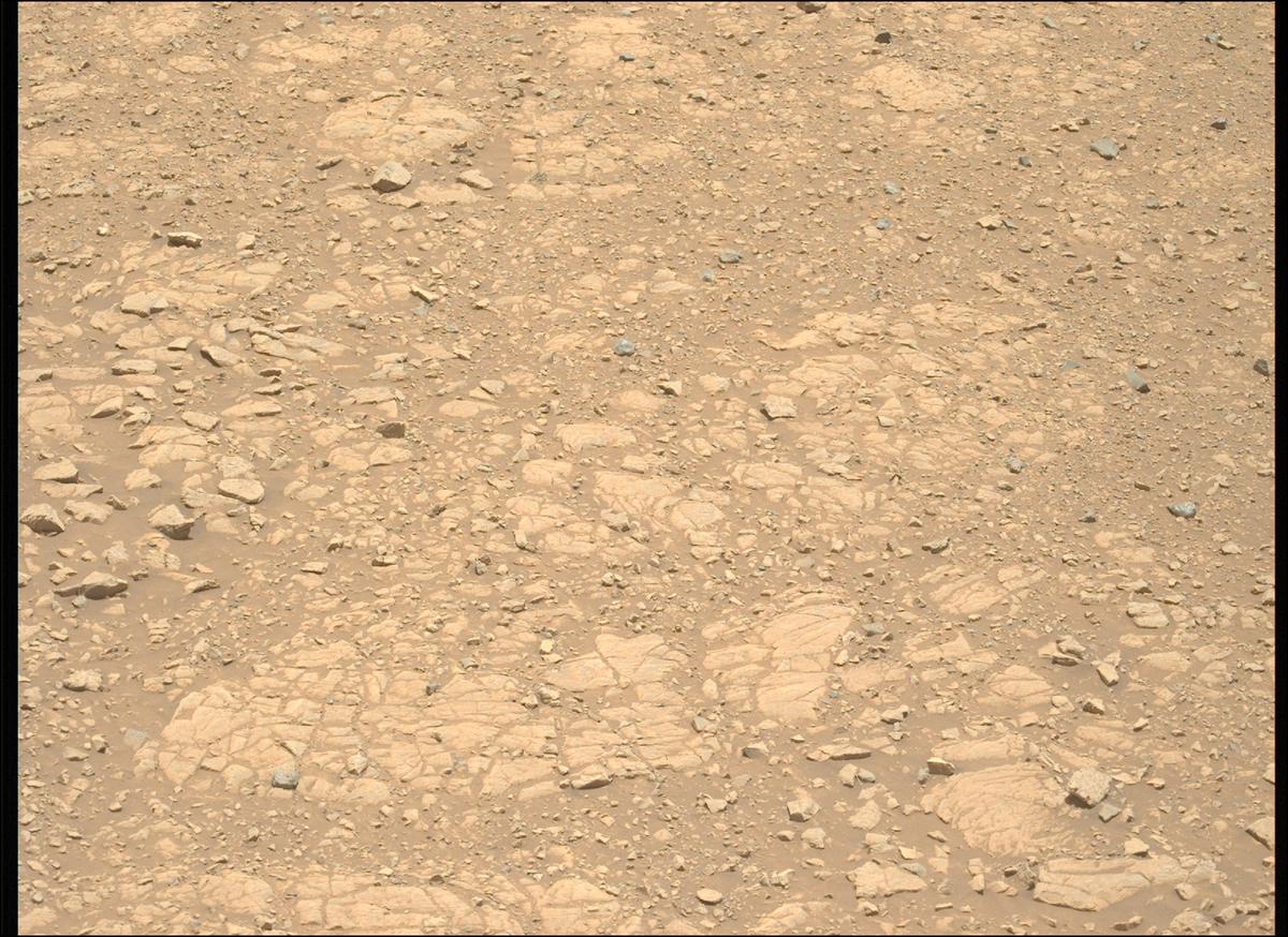 This image was taken by MCZ_LEFT onboard NASA's Mars rover Perseverance on Sol 1438