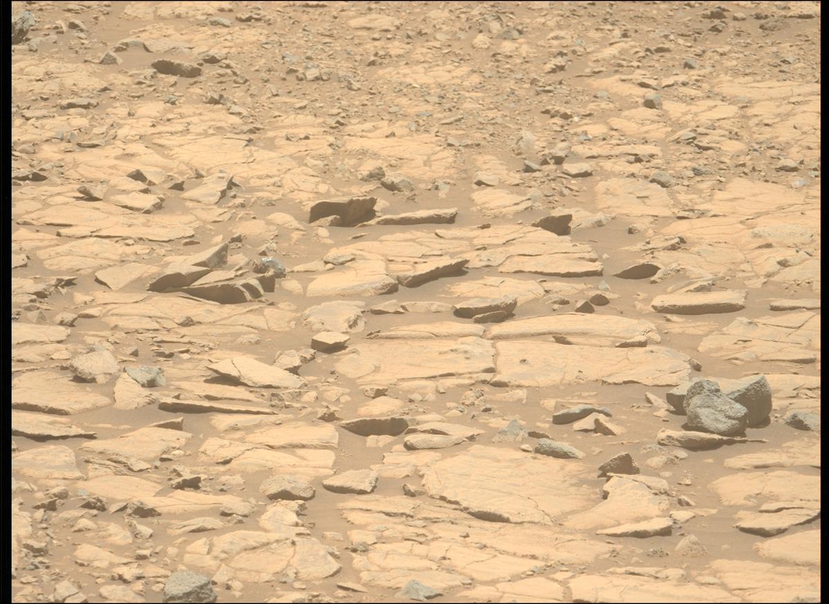This image was taken by MCZ_LEFT onboard NASA's Mars rover Perseverance on Sol 1438