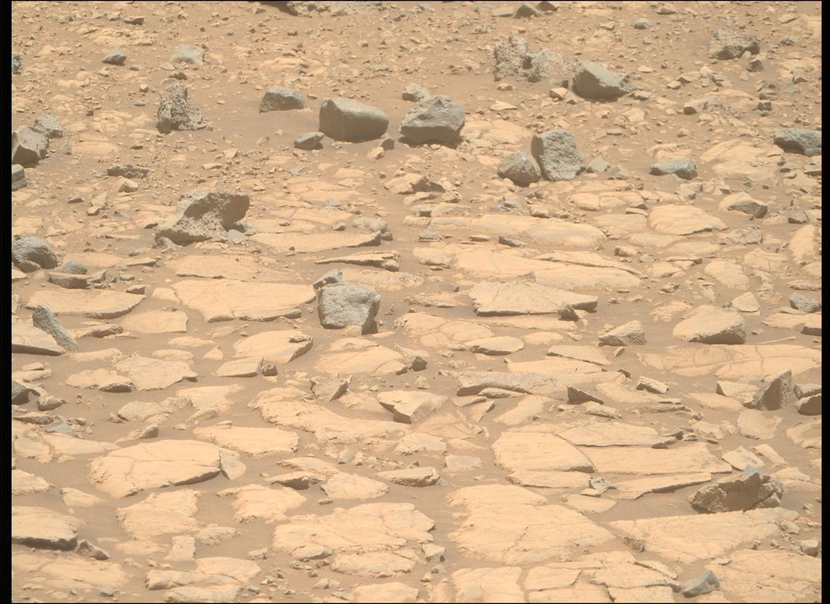 This image was taken by MCZ_RIGHT onboard NASA's Mars rover Perseverance on Sol 1438