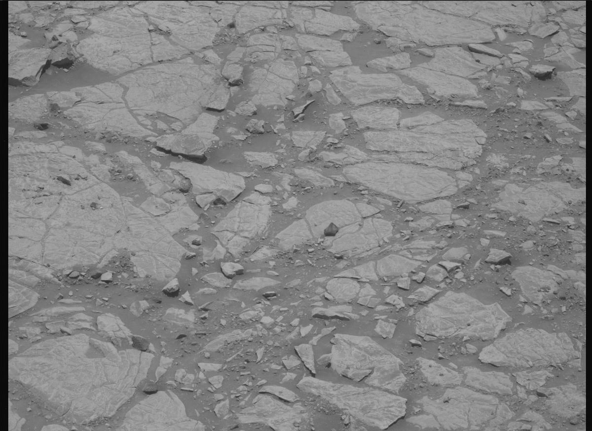 This image was taken by MCZ_LEFT onboard NASA's Mars rover Perseverance on Sol 1439