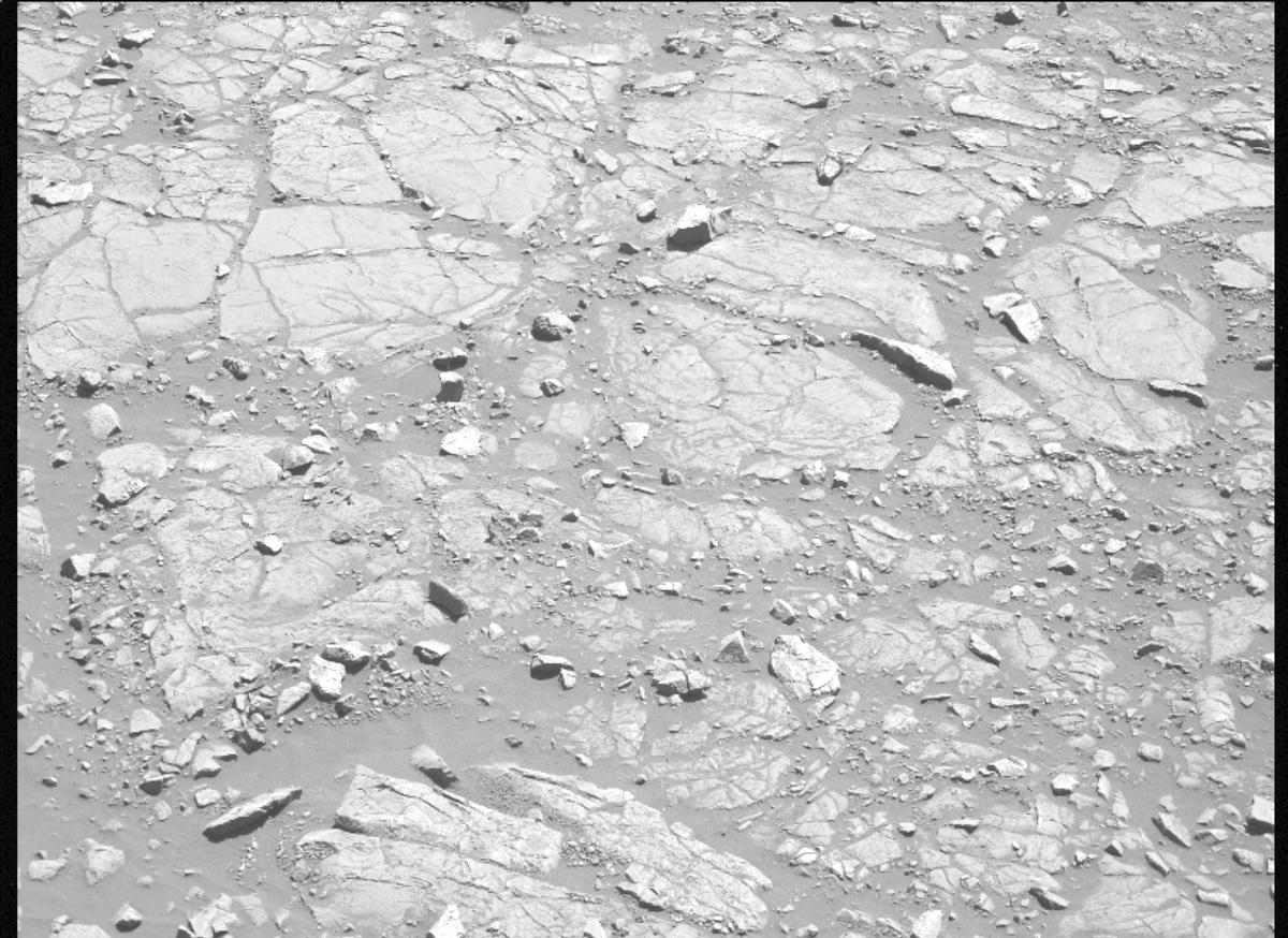 This image was taken by MCZ_LEFT onboard NASA's Mars rover Perseverance on Sol 1439