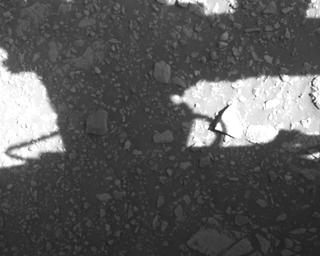 View image taken on Mars, Mars Perseverance Sol 1442: Rover Down-Look Camera
