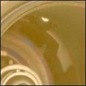 This image was taken by MCZ_LEFT onboard NASA's Mars rover Perseverance on Sol 1442