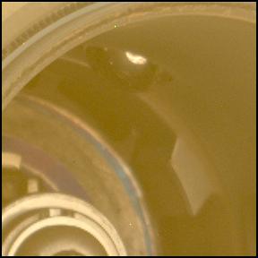 This image was taken by MCZ_LEFT onboard NASA's Mars rover Perseverance on Sol 1442