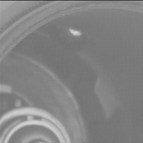 This image was taken by MCZ_LEFT onboard NASA's Mars rover Perseverance on Sol 1442