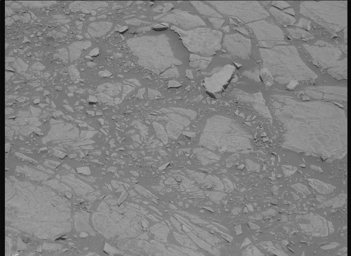 This image was taken by MCZ_LEFT onboard NASA's Mars rover Perseverance on Sol 1443