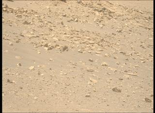 View image taken on Mars, Mars Perseverance Sol 1443: Left Mastcam-Z Camera