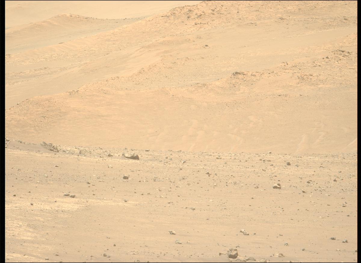 This image was taken by MCZ_LEFT onboard NASA's Mars rover Perseverance on Sol 1443