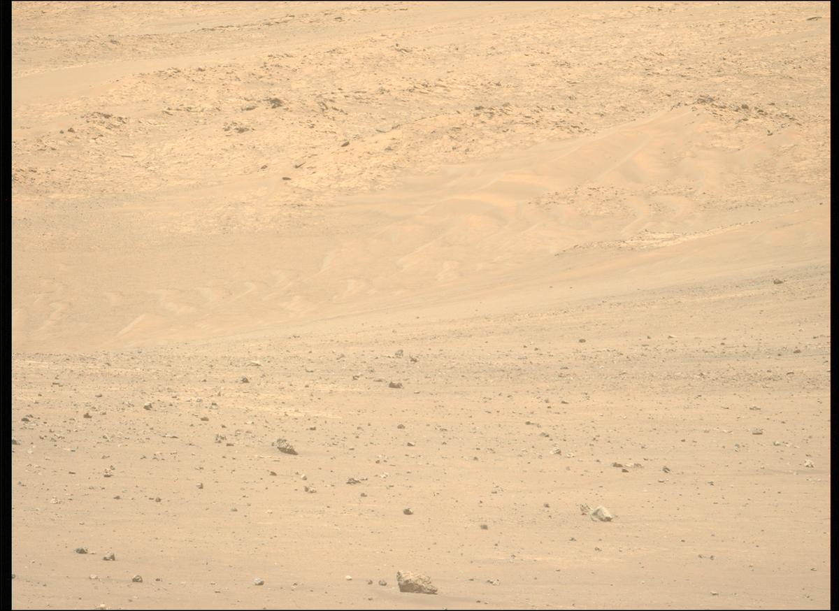 This image was taken by MCZ_LEFT onboard NASA's Mars rover Perseverance on Sol 1443