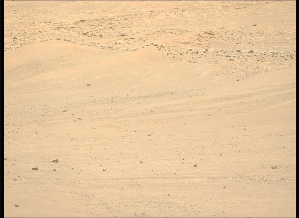 This image was taken by MCZ_LEFT onboard NASA's Mars rover Perseverance on Sol 1443