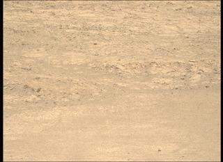View image taken on Mars, Mars Perseverance Sol 1443: Left Mastcam-Z Camera