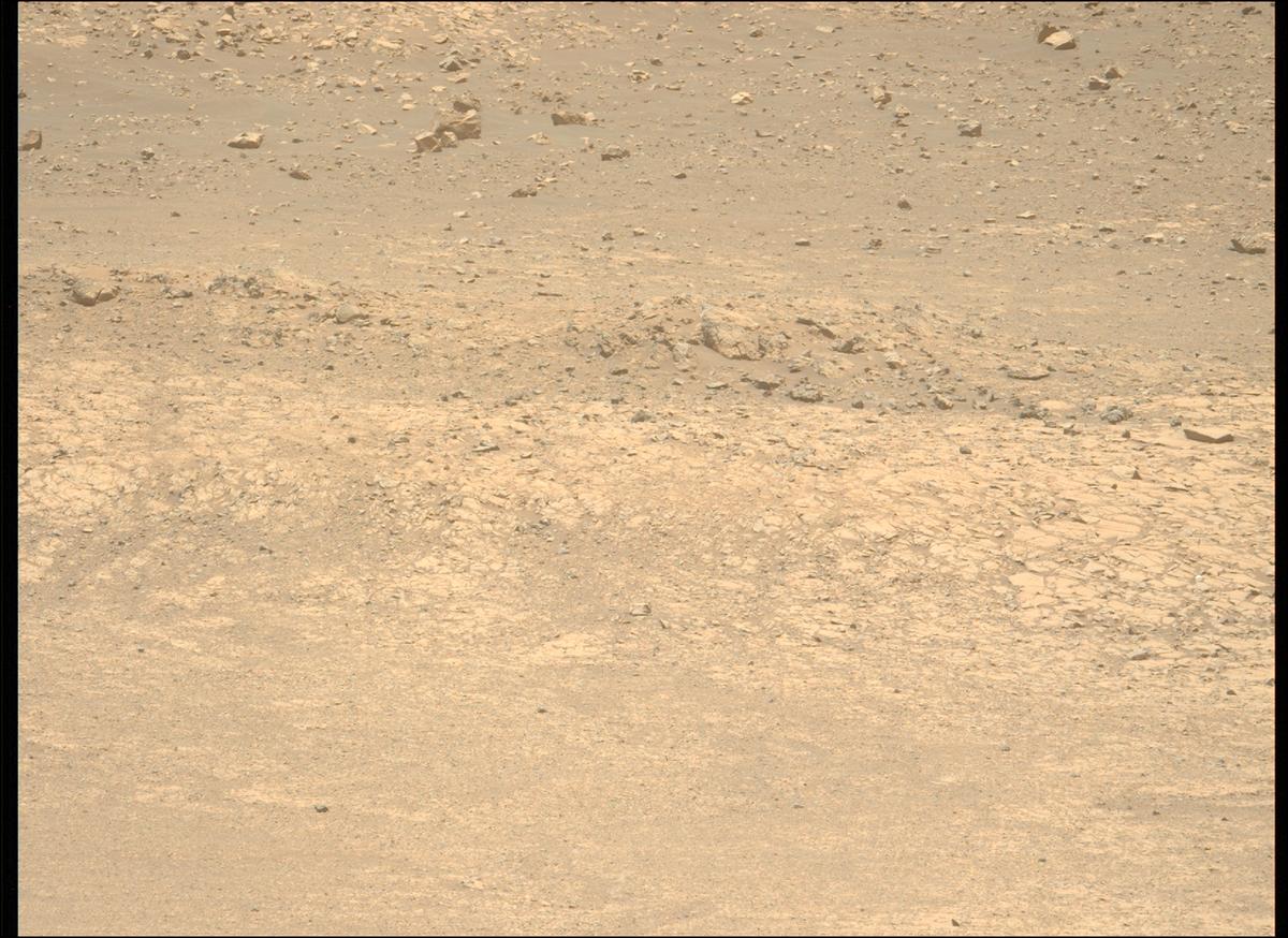 This image was taken by MCZ_LEFT onboard NASA's Mars rover Perseverance on Sol 1443