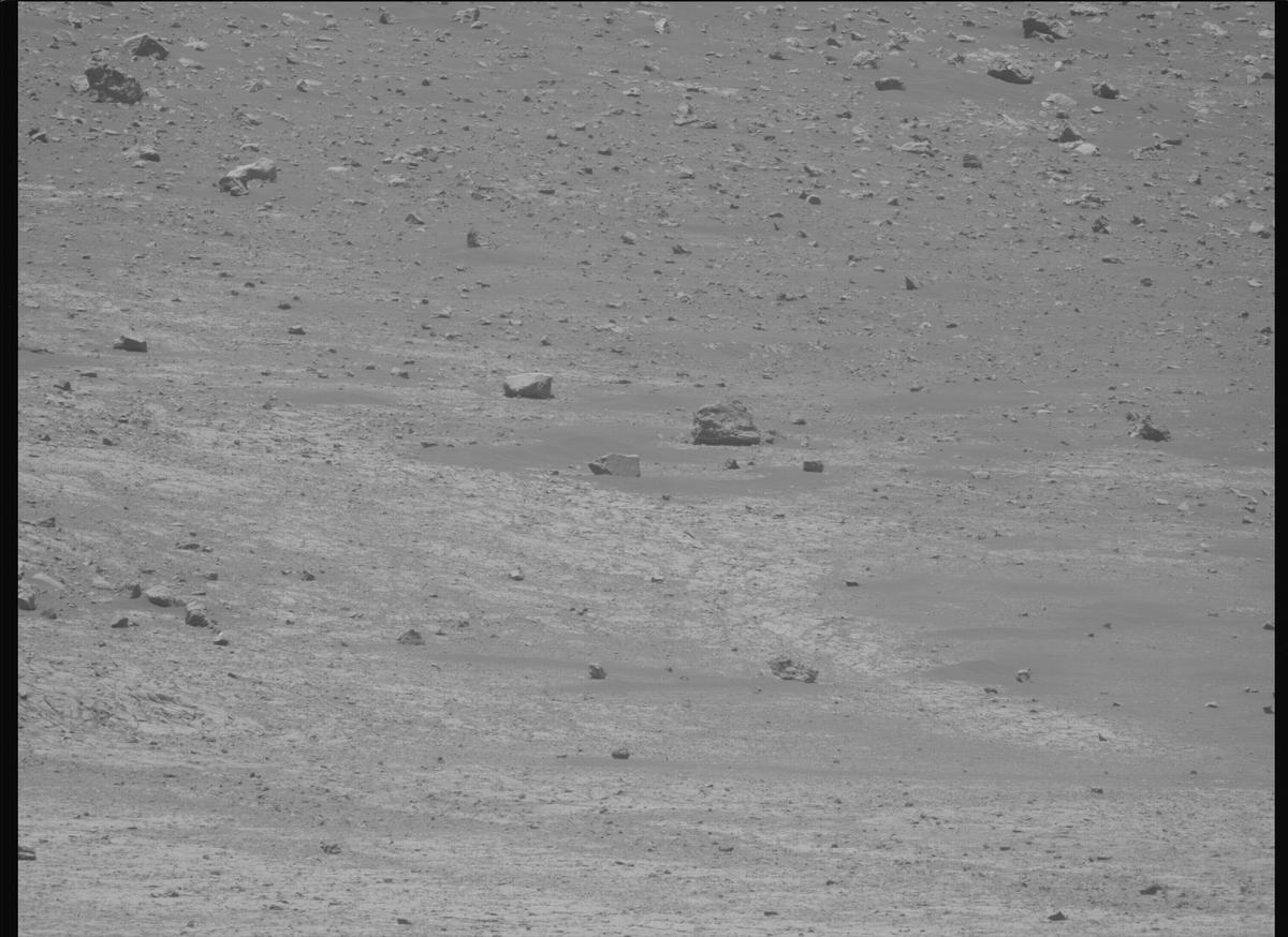 This image was taken by MCZ_LEFT onboard NASA's Mars rover Perseverance on Sol 1443