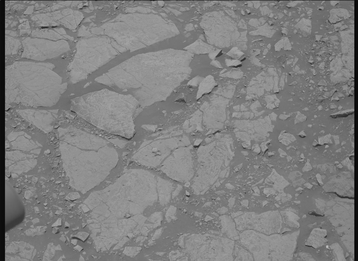 This image was taken by MCZ_RIGHT onboard NASA's Mars rover Perseverance on Sol 1443