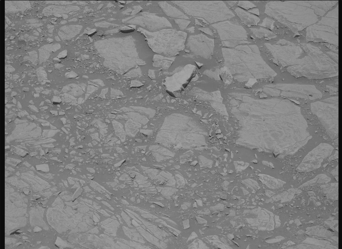 This image was taken by MCZ_RIGHT onboard NASA's Mars rover Perseverance on Sol 1443