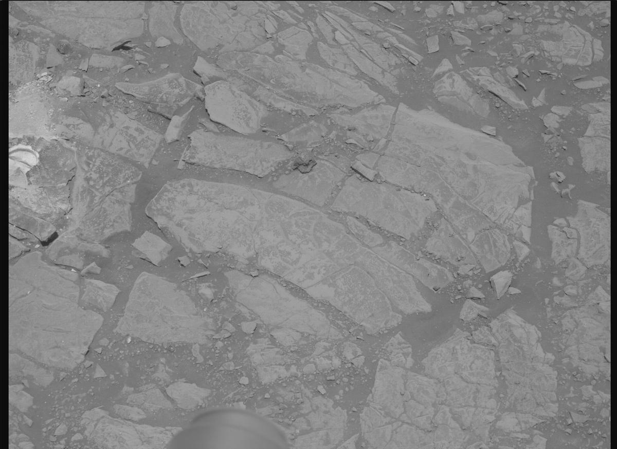 This image was taken by MCZ_RIGHT onboard NASA's Mars rover Perseverance on Sol 1443