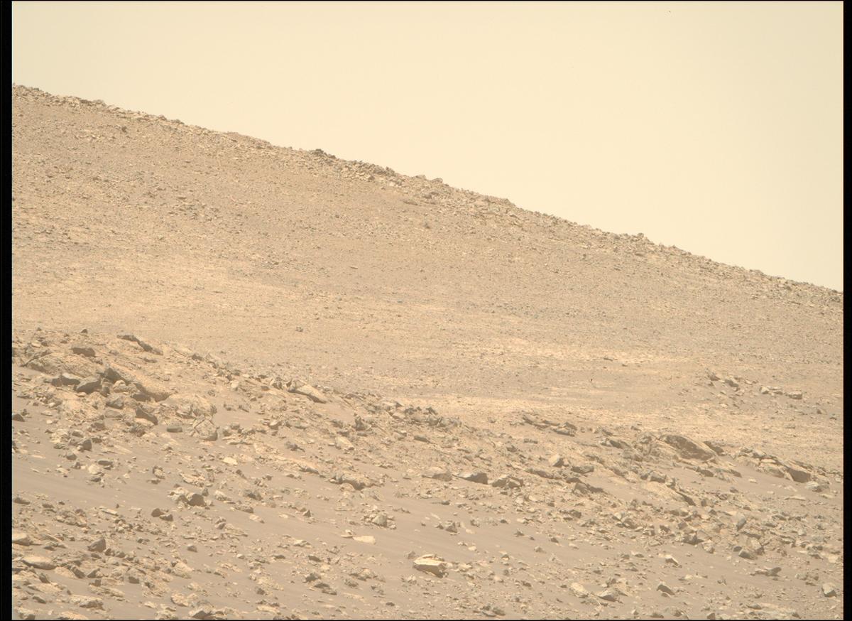 This image was taken by MCZ_RIGHT onboard NASA's Mars rover Perseverance on Sol 1443