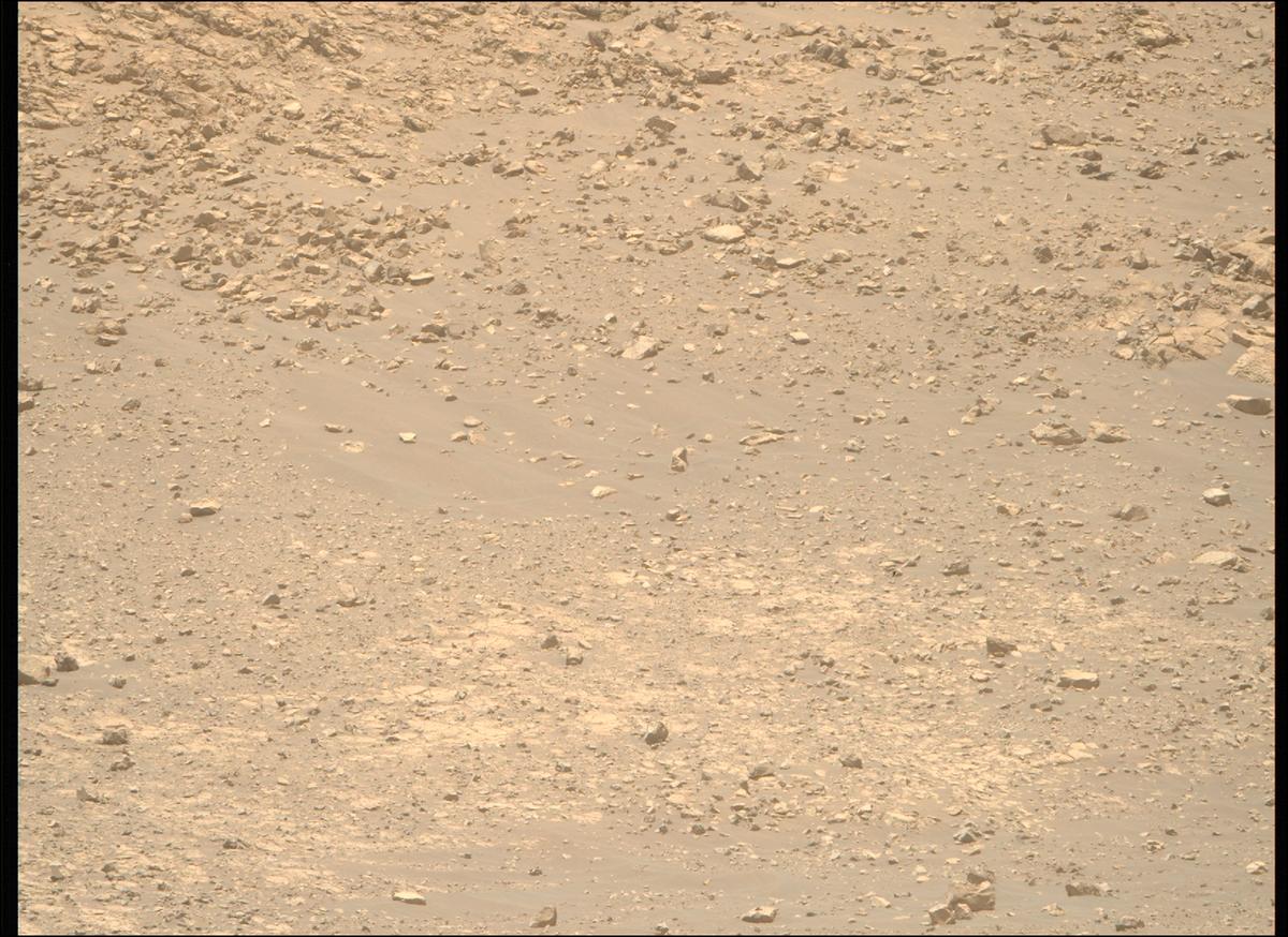 This image was taken by MCZ_RIGHT onboard NASA's Mars rover Perseverance on Sol 1443